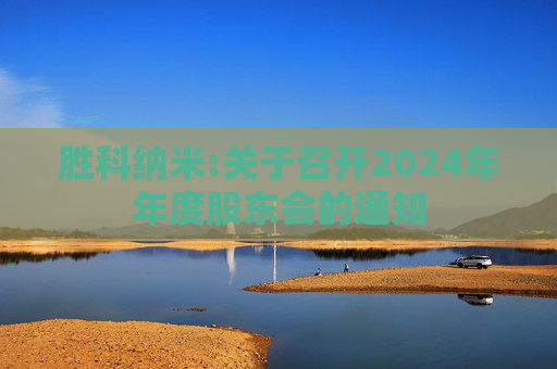胜科纳米:关于召开2024年年度股东会的通知