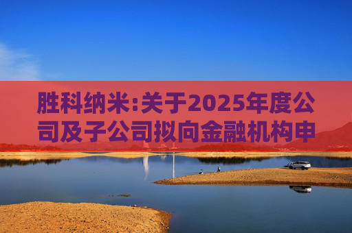 胜科纳米:关于2025年度公司及子公司拟向金融机构申请授信额度及公司为子公司提供担保额度预计的公告