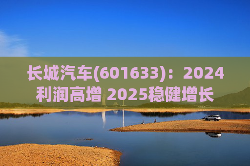 长城汽车(601633)：2024利润高增 2025稳健增长