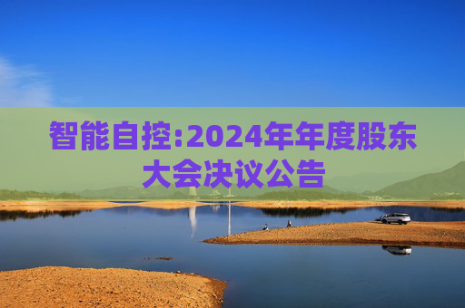 智能自控:2024年年度股东大会决议公告