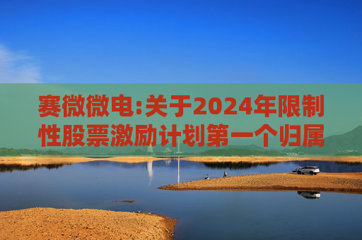 赛微微电:关于2024年限制性股票激励计划第一个归属期归属条件成就的公告
