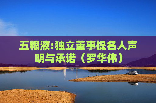 五粮液:独立董事提名人声明与承诺（罗华伟）