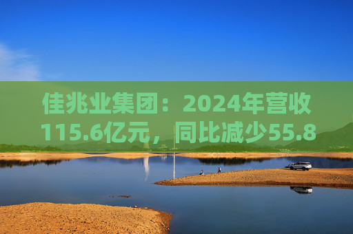佳兆业集团：2024年营收115.6亿元，同比减少55.8%  第1张