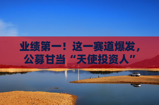 业绩第一！这一赛道爆发，公募甘当“天使投资人”