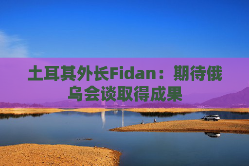 土耳其外长Fidan：期待俄乌会谈取得成果