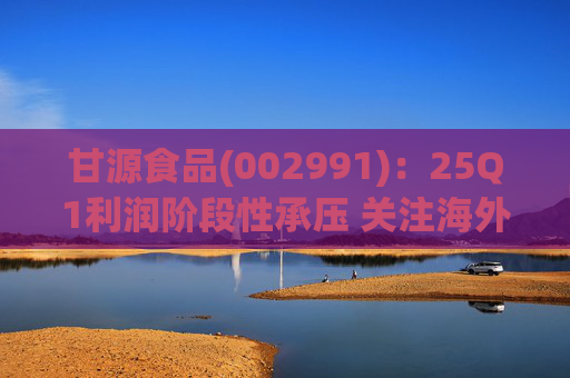 甘源食品(002991)：25Q1利润阶段性承压 关注海外市场突破