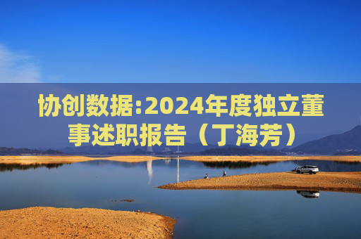 协创数据:2024年度独立董事述职报告（丁海芳）