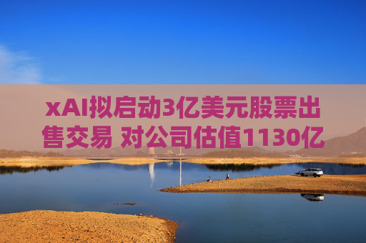 xAI拟启动3亿美元股票出售交易 对公司估值1130亿美元