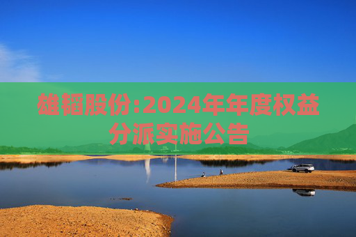 雄韬股份:2024年年度权益分派实施公告