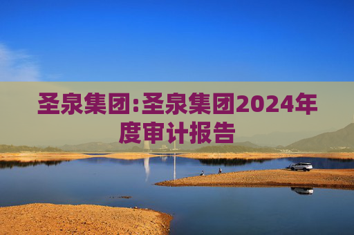 圣泉集团:圣泉集团2024年度审计报告  第1张