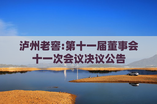 泸州老窖:第十一届董事会十一次会议决议公告  第1张