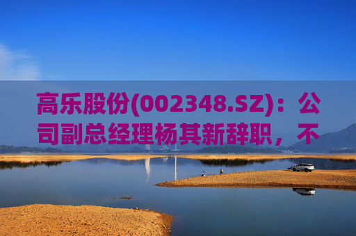 高乐股份(002348.SZ)：公司副总经理杨其新辞职，不再担任公司及控股子公司任何职务  第1张