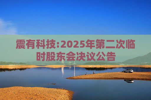 震有科技:2025年第二次临时股东会决议公告