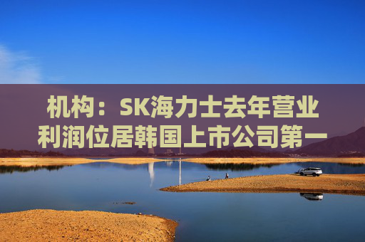 机构：SK海力士去年营业利润位居韩国上市公司第一，首次超过三星电子