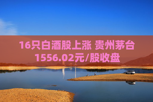 16只白酒股上涨 贵州茅台1556.02元/股收盘