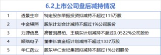 6月2日增减持汇总：海南发展增持 透景生命等5股减持（表）