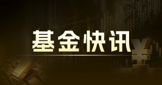 嘉实中证500ETF联接A(000008)：最新净值1.6960元，增长0.63%
