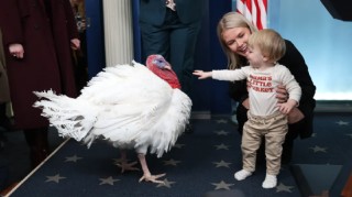 特朗普特赦感恩节火鸡，抨击拜登并称乌克兰和平协议“已近在咫尺”