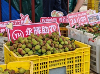 永辉超市启动2025永辉荔枝季助农活动：最快24小时从果园直达门店，从广东门店到全国门店将陆续上架