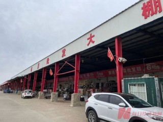 贾国龙要求道歉，罗永浩承认冷冻西蓝花“成本更高”！业内人士：速冻的可能比新鲜菜更好