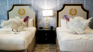 特朗普特赦感恩节火鸡，抨击拜登并称乌克兰和平协议“已近在咫尺”