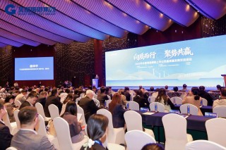 向质而行 聚势共赢 北部湾港集团引领旗下上市公司绘就高质量发展新蓝图