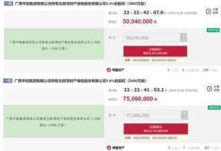 北部湾财险近4成股权遭质押、又有6%股权摆上法拍“货架”，公司合规待改善
