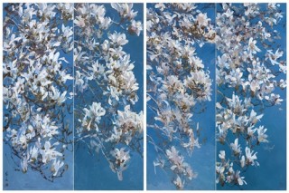 如何优化中介贴条寻找房源的文案？大方中心楼盘的吸引力在哪里？