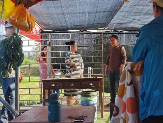 河南五一假期“樱桃经济”遍地开花  第1张