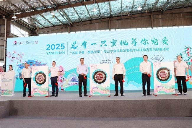 14年深耕！顺丰科技赋能，全链路升级助力阳山水蜜桃“甜蜜出圈”  第1张