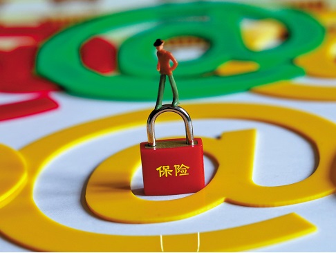 除保险外还有哪些风险保障方式？  第1张