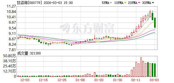 甘咨询：截至2026年2月28日公司股东人数为26960户  第1张