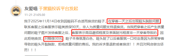 黑猫投诉发布2025年度服饰领域红黑榜榜单：New Balance鞋子穿一天脱胶  第2张